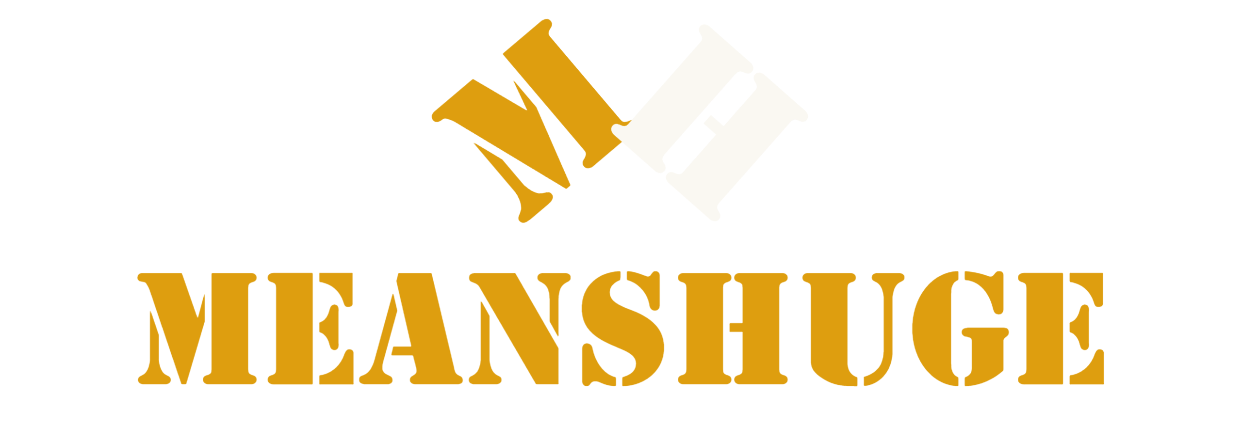 MeansHuge Business Intelligence LLC